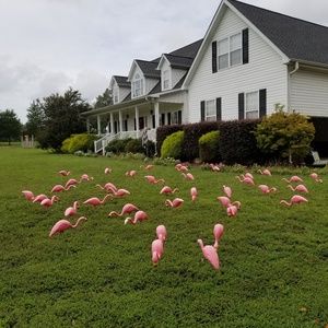 Meet your Posher, Kimberley